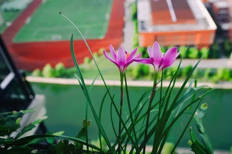 funeral home negligence lawyer